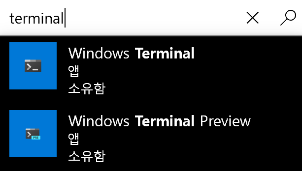 windows_terminal_choice